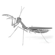 Mantis Religiosa