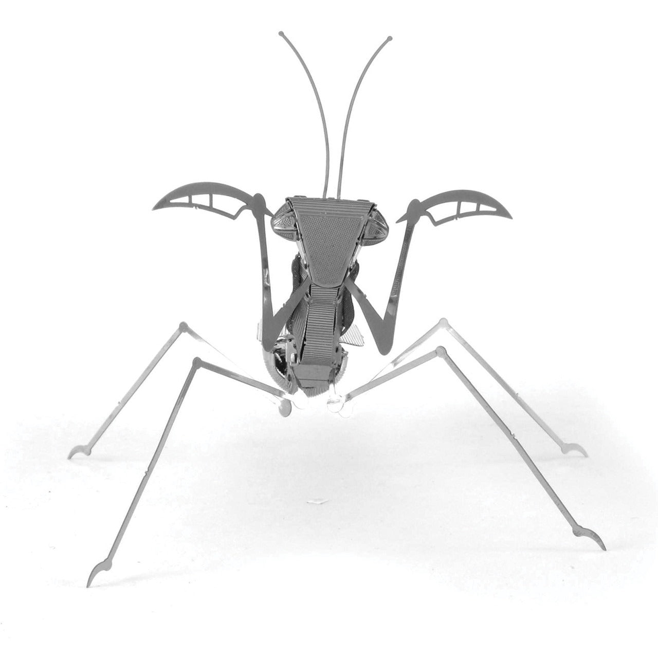 Mantis Religiosa