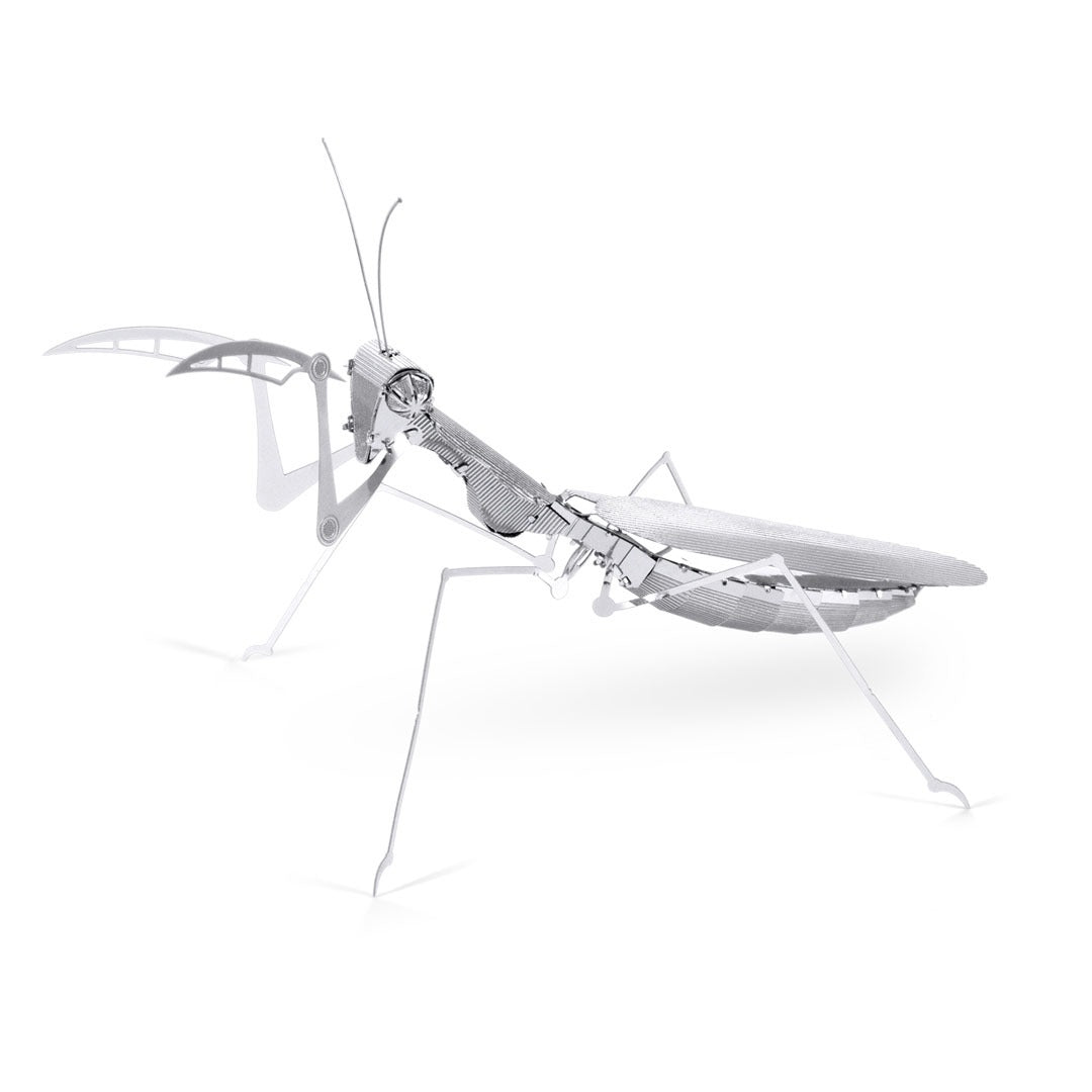 Mantis Religiosa