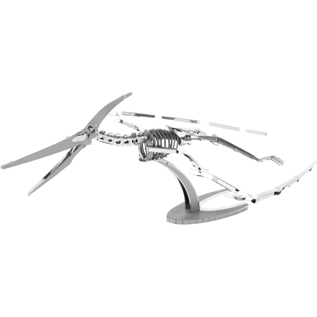 Esqueleto de Pteranodon