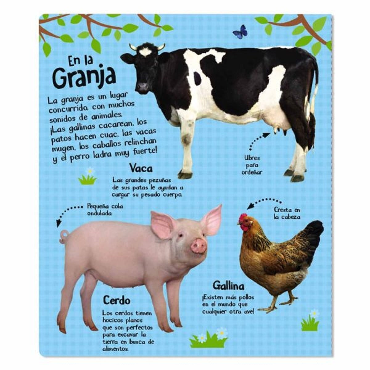 Sonidos de Animales