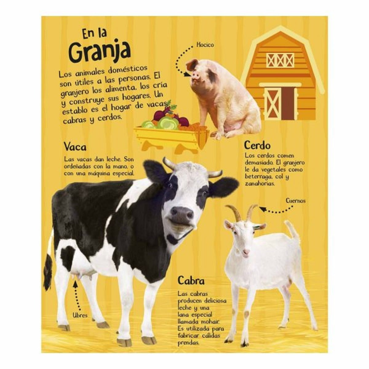 Sonidos de la Granja