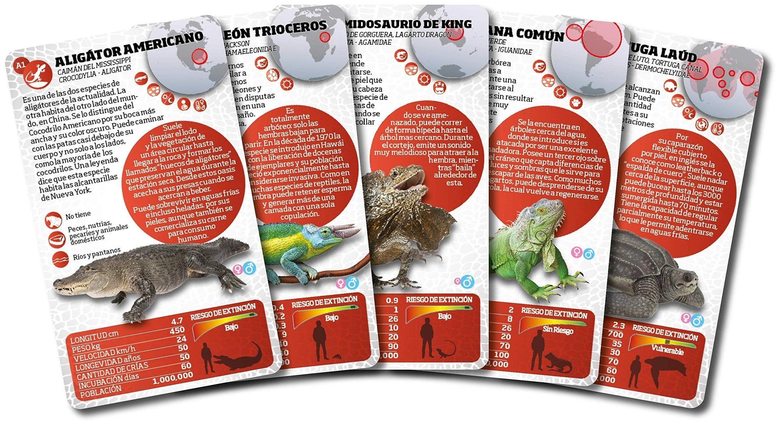 Luminias Baraja Reptiles