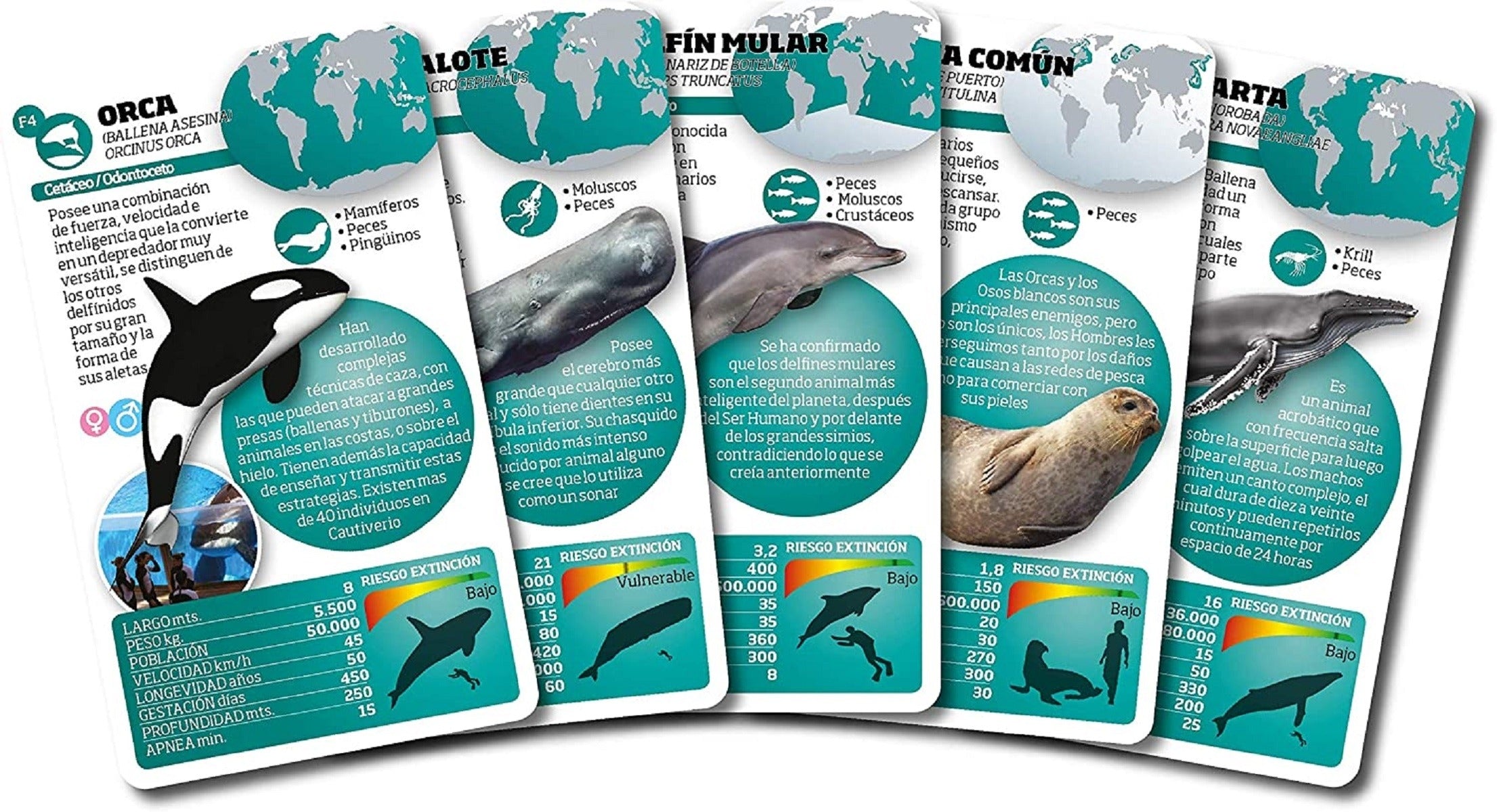 Luminias Baraja Mamíferos Marinos