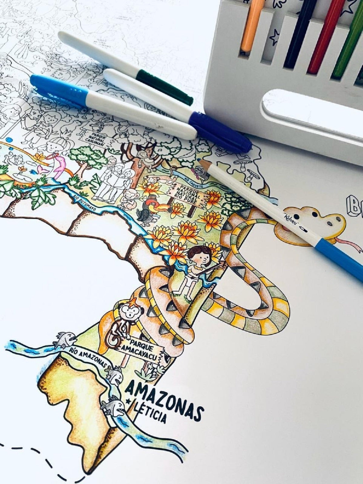 Poster Para Colorear: Mapa De Colombia