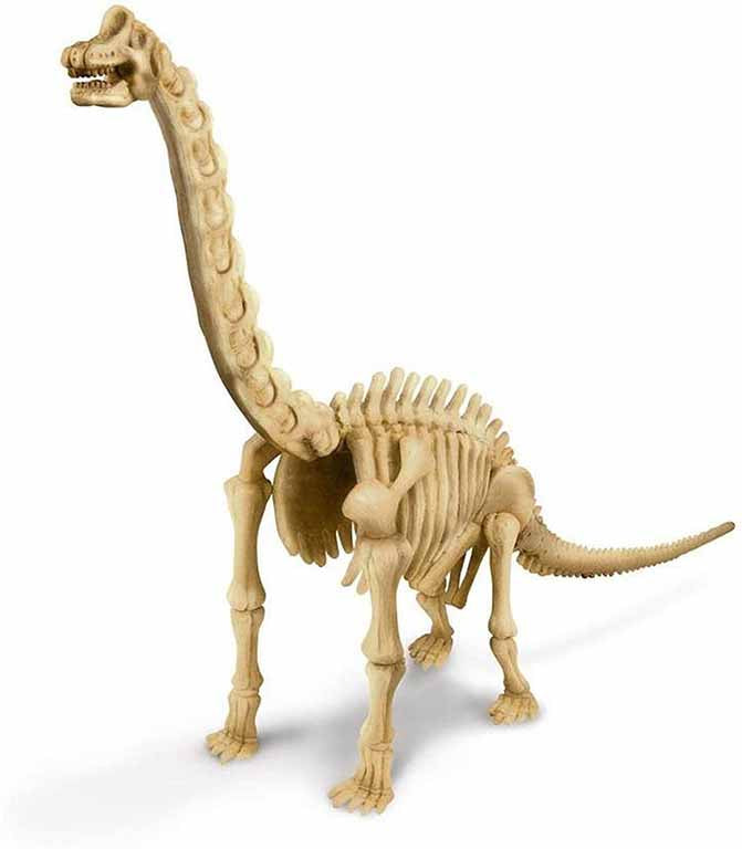 Kidz Labs / Desentierra Un Braquiosaurio